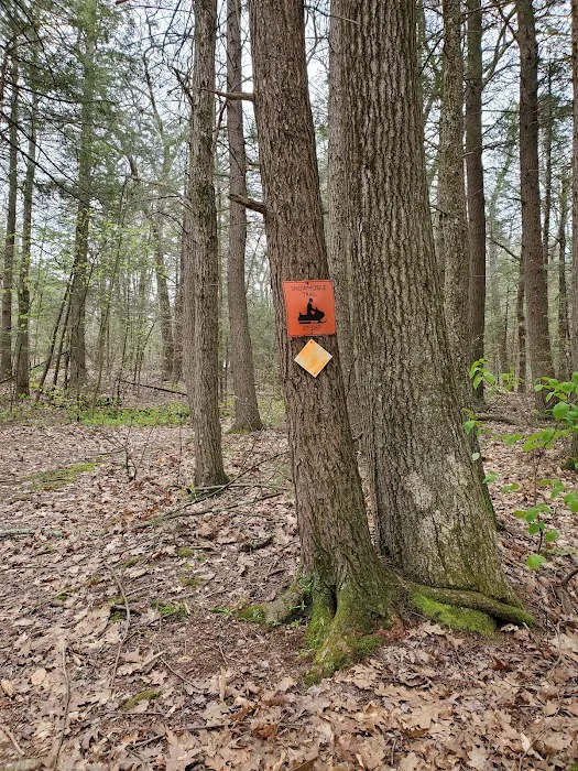 Big Spring Area 3