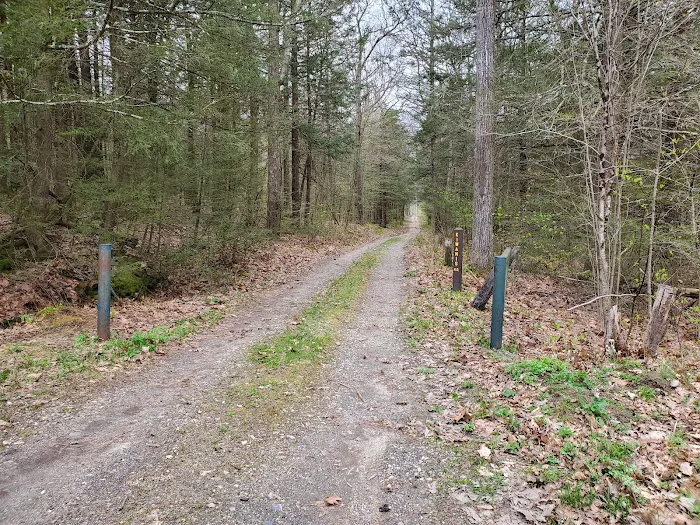 Big Spring Area 7