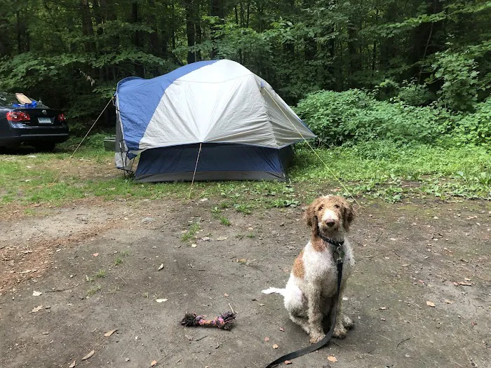 Austin Hawes Campground 4