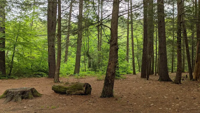 Austin Hawes Campground 5