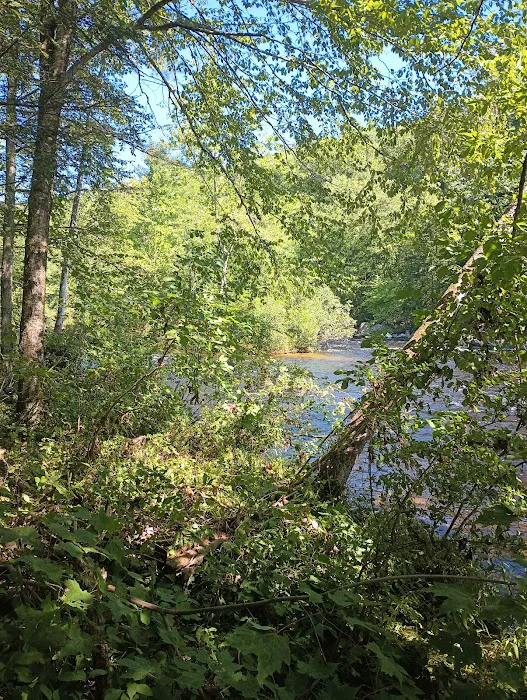 Austin Hawes Campground 1