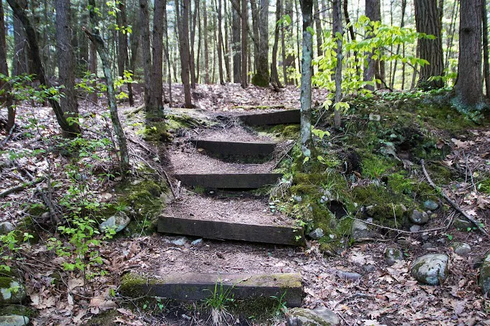 Austin Hawes Campground 9