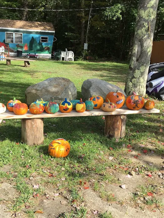 White Pines Campsites 6