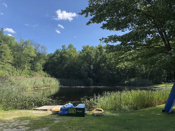 White Pines Campsites 1