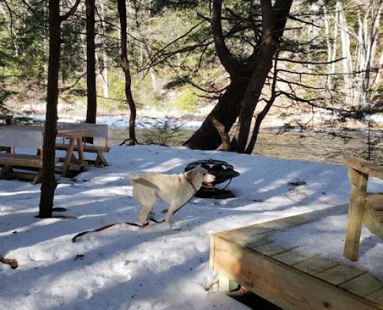 Snug Life Camping