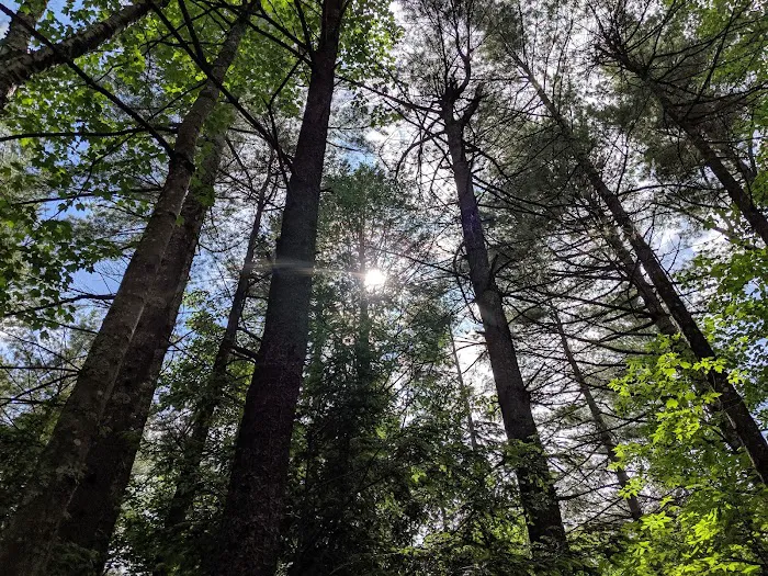 Gilson Pond Campground 3