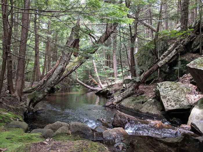 Gilson Pond Campground 6