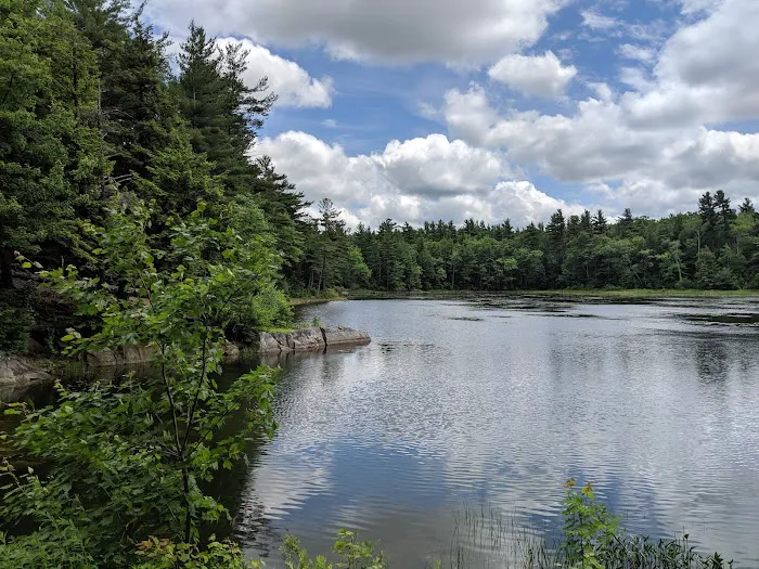 Gilson Pond Campground 4