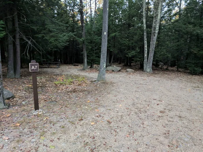 Gilson Pond Campground 7