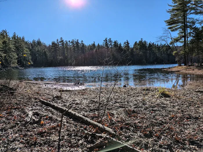Gilson Pond Campground 5