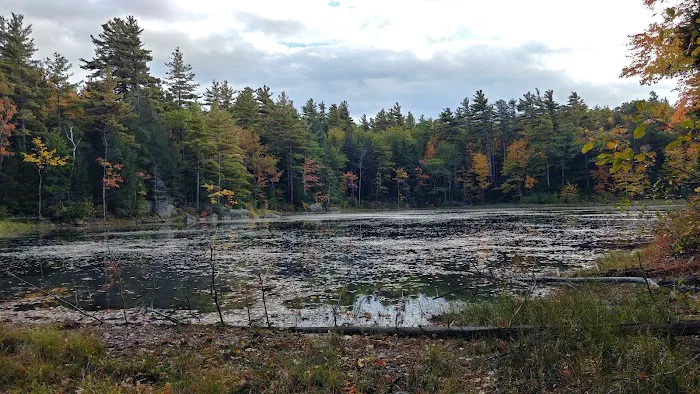 Gilson Pond Campground 4