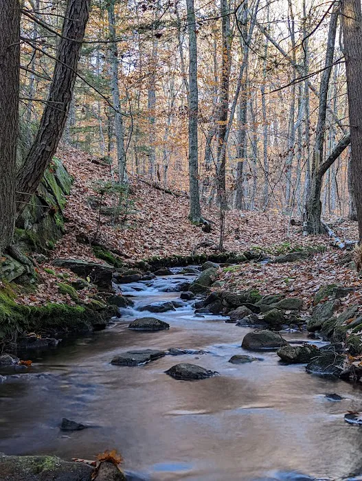 Gilson Pond Campground 6