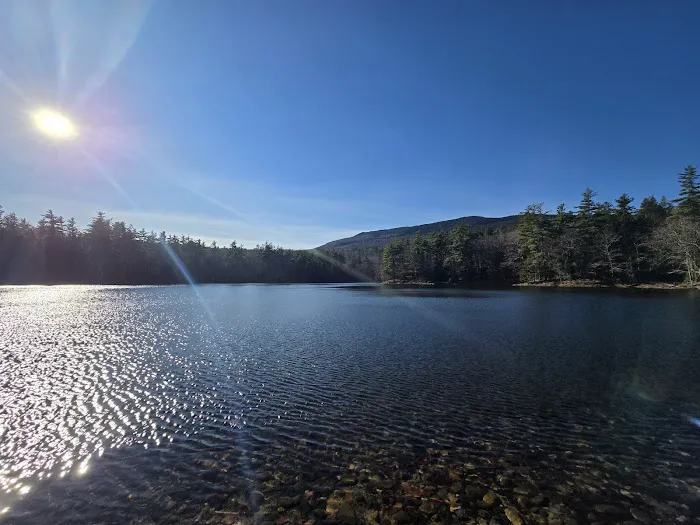 Gilson Pond Campground 7