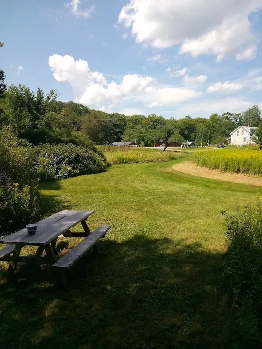 Gus's Gardens Camping 1