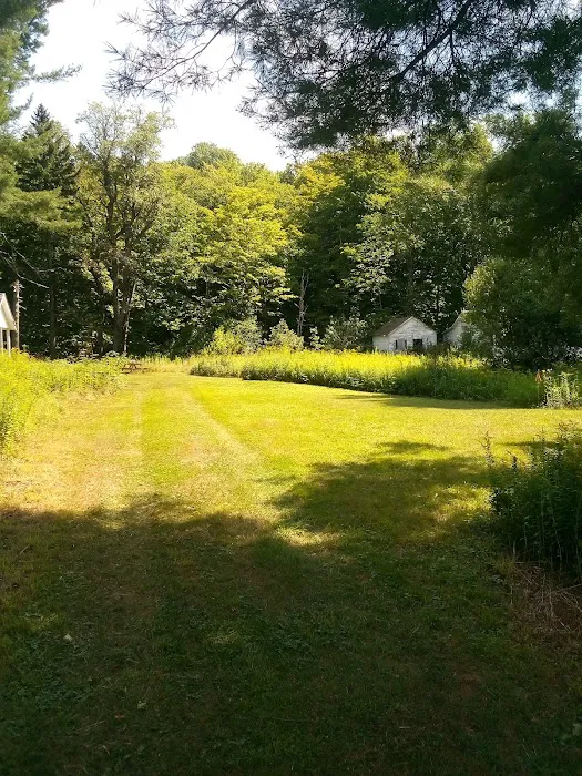 Gus's Gardens Camping 2