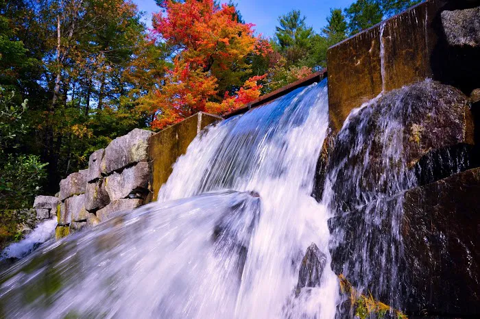 Swanzey Lake Camping Area 7