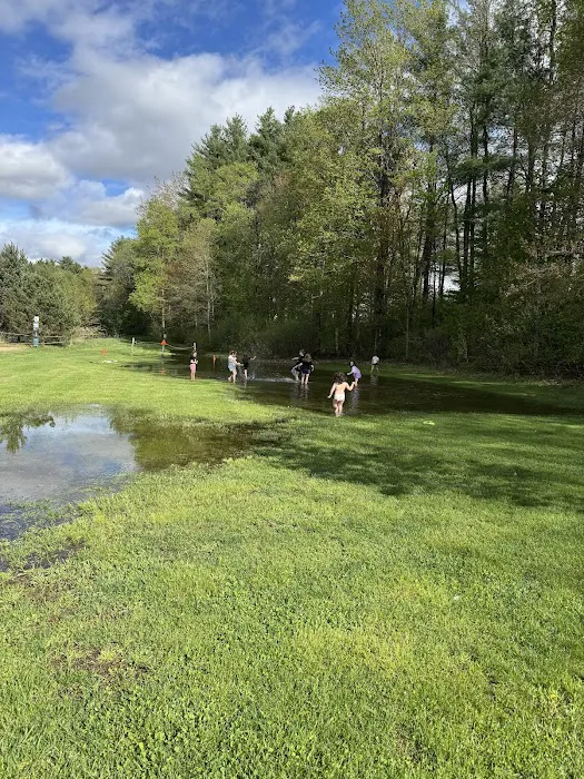 Ashuelot River Campground 8