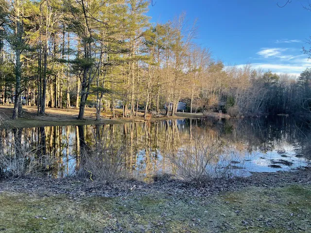 Ocean Pines Campground 1