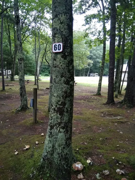 Gregoire's Campground 4
