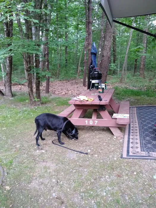 Gregoire's Campground 9