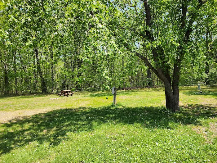 Coastal Woods Campground 6