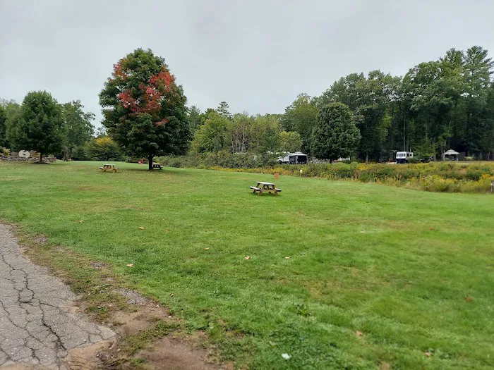 Pinederosa Camping Area 4