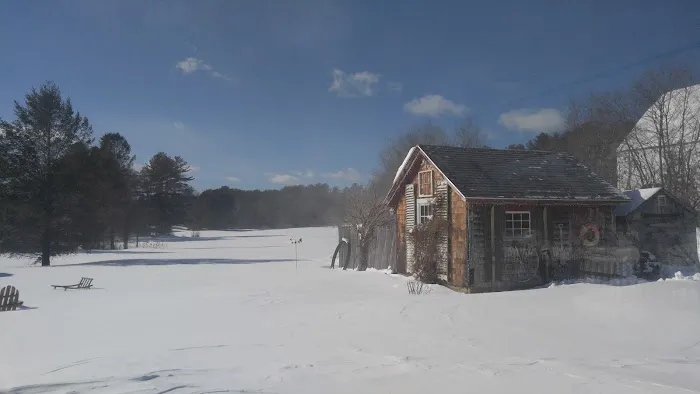 Pinederosa Camping Area 5