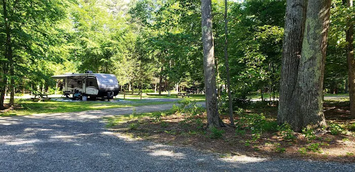 Pinederosa Camping Area 9