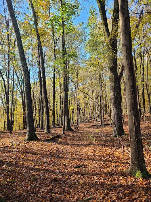 Winding Hills Park 4