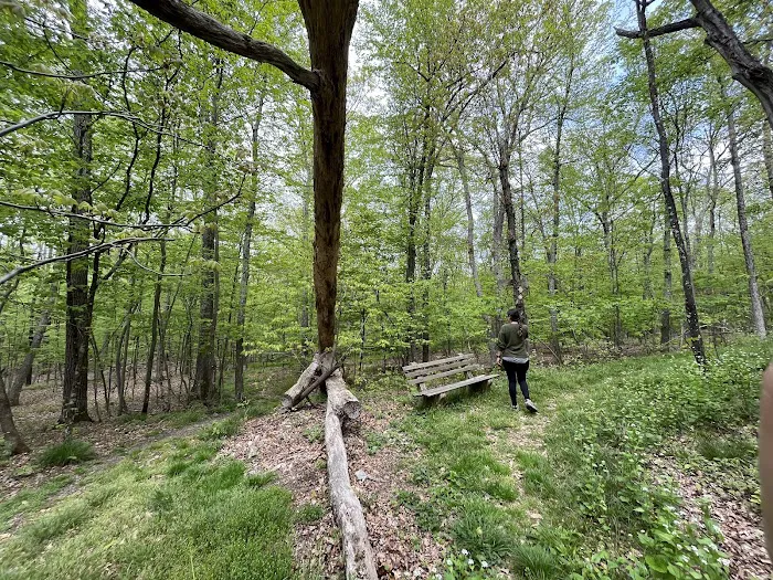 Winding Hills Park 6