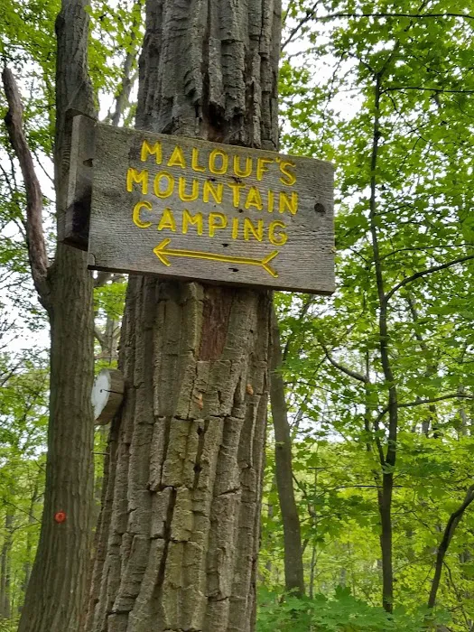 Malouf's Mountain Campground 1