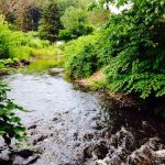 Spring Glen Campgrounds Inc