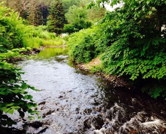 Spring Glen Campgrounds Inc