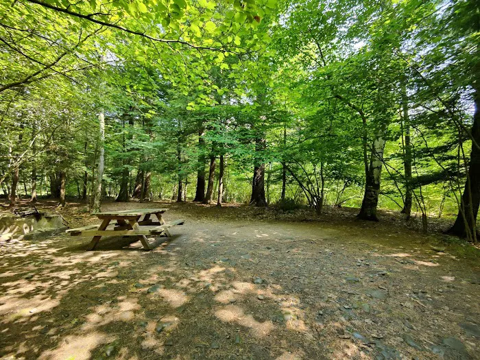 Kenneth L. Wilson Campground 0