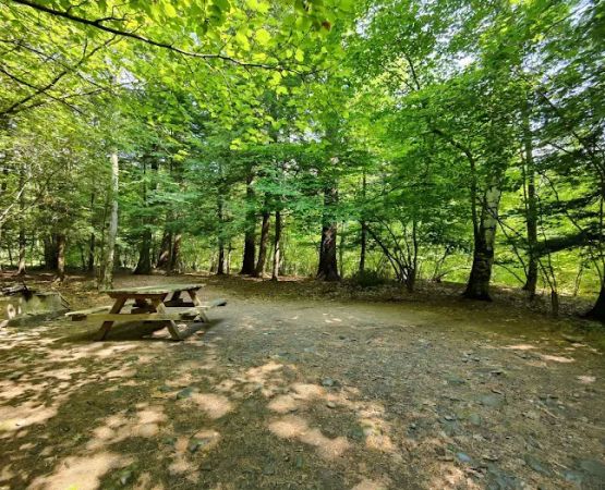 Kenneth L. Wilson Campground