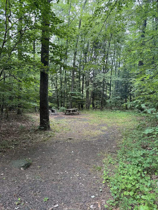 Kenneth L. Wilson Campground 1
