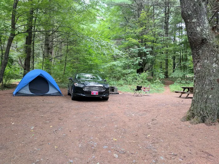 Kenneth L. Wilson Campground 7
