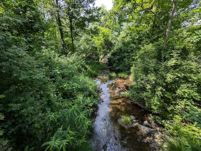 Kenneth L. Wilson Campground 8