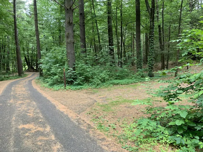 Kenneth L. Wilson Campground 6