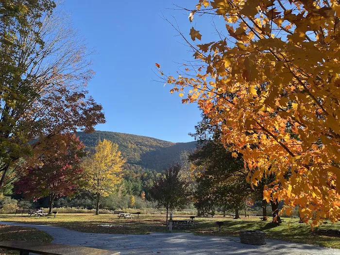 Kenneth L. Wilson Campground 9