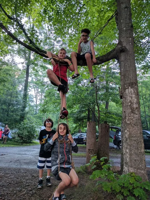 Phoenicia Black Bear Campground 4