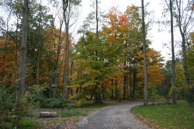Phoenicia Black Bear Campground 5