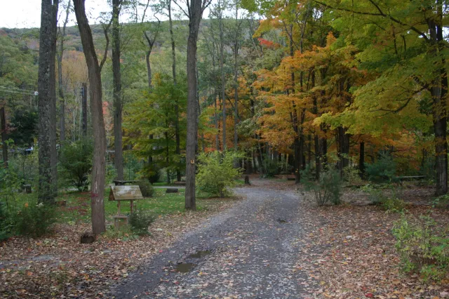 Phoenicia Black Bear Campground 7