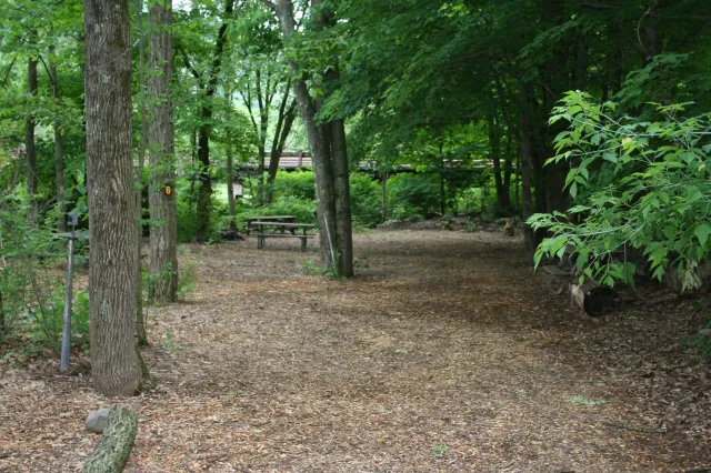 Phoenicia Black Bear Campground 6