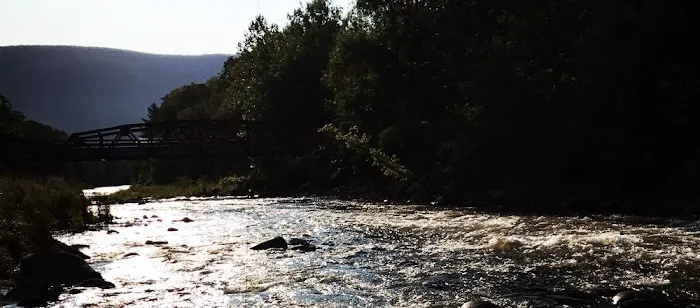 Phoenicia Black Bear Campground 9