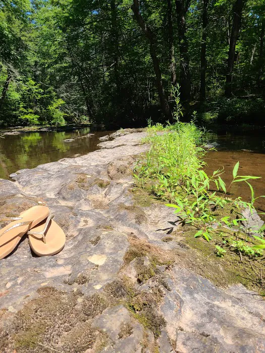 Rip Van Winkle Campgrounds Inc 4
