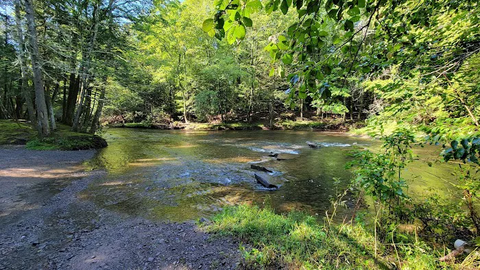 Rip Van Winkle Campgrounds Inc 3
