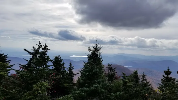 Devils Path Trail. Camp Area 2