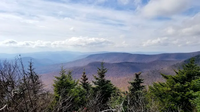 Devils Path Trail. Camp Area 1