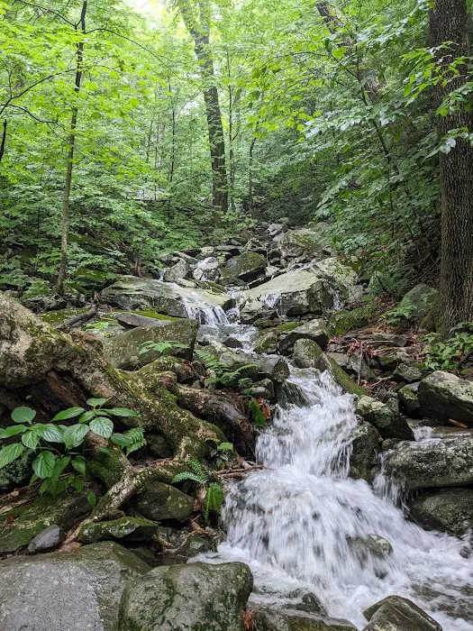 Devils Path Trail. Camp Area 3